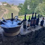 Quinta De Santa Julia Lantgård Peso da Régua