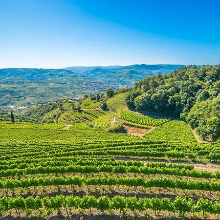 Farmház Quinta De Santa Júlia *