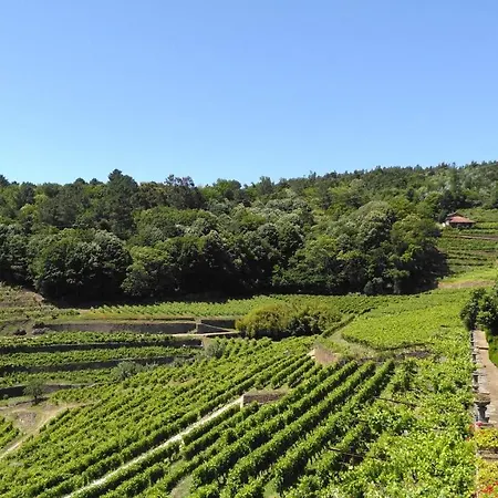 Quinta De Santa Julia Peso da Regua