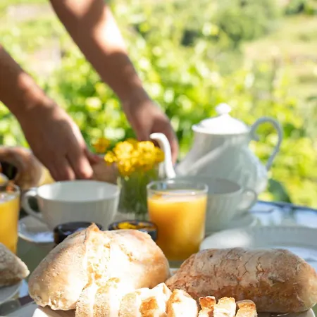 Quinta De Santa Julia Farm stay