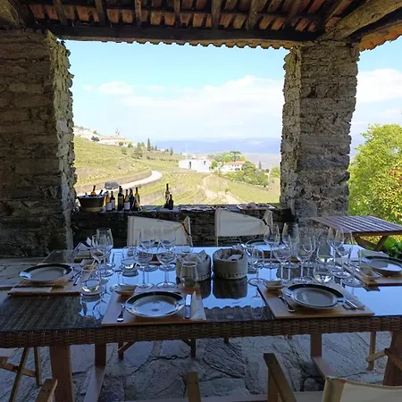Farmház Quinta De Santa Júlia Peso da Régua