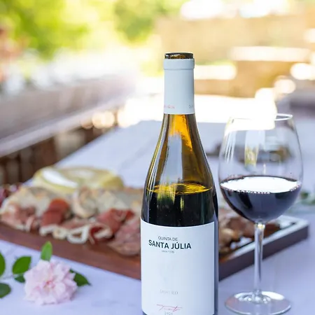 Farmház Quinta De Santa Júlia