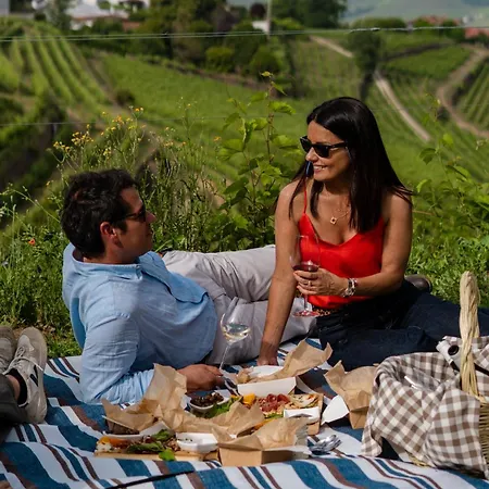 Quinta De Santa Júlia * Peso da Régua