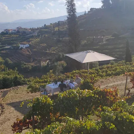 Quinta De Santa Júlia Agroturismo Peso da Régua