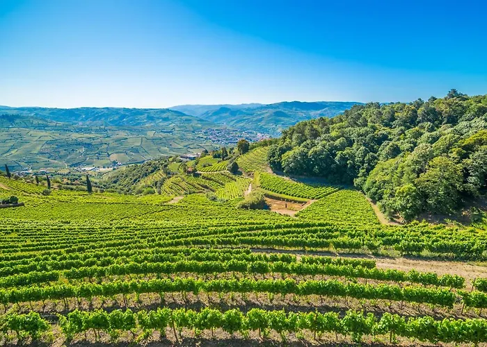 Feriegård Quinta De Santa Julia *