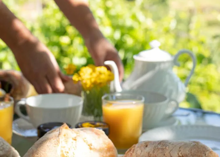 Quinta De Santa Julia Feriegård