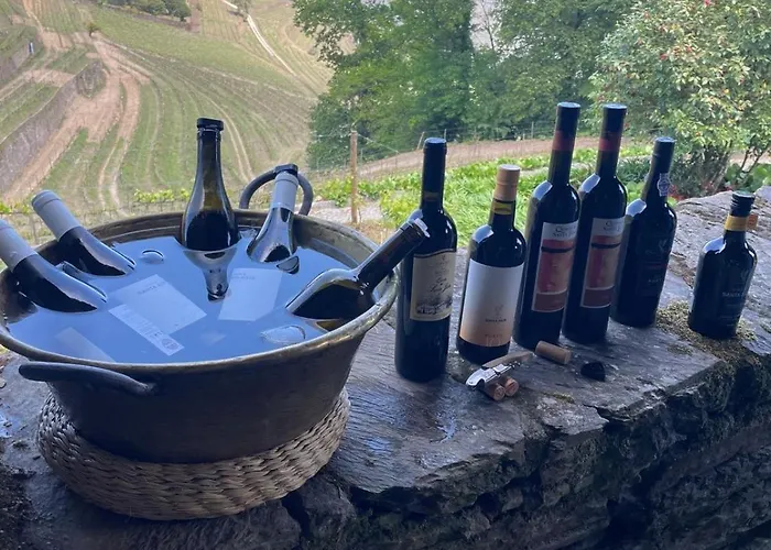 Quinta De Santa Julia Feriegård Peso da Régua