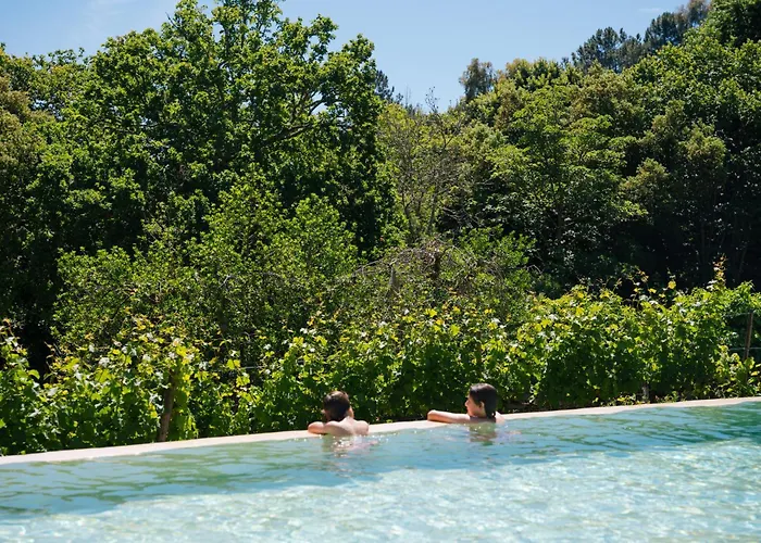 Quinta De Santa Julia Farma Peso da Régua