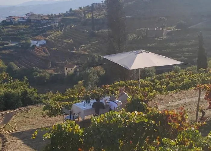 Quinta De Santa Julia Feriegård Peso da Régua